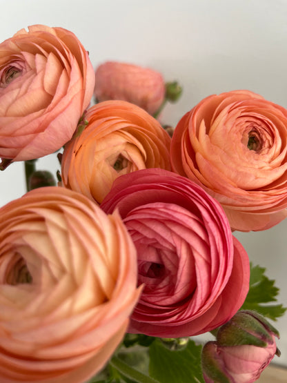 # Coral Peach Flower Basket