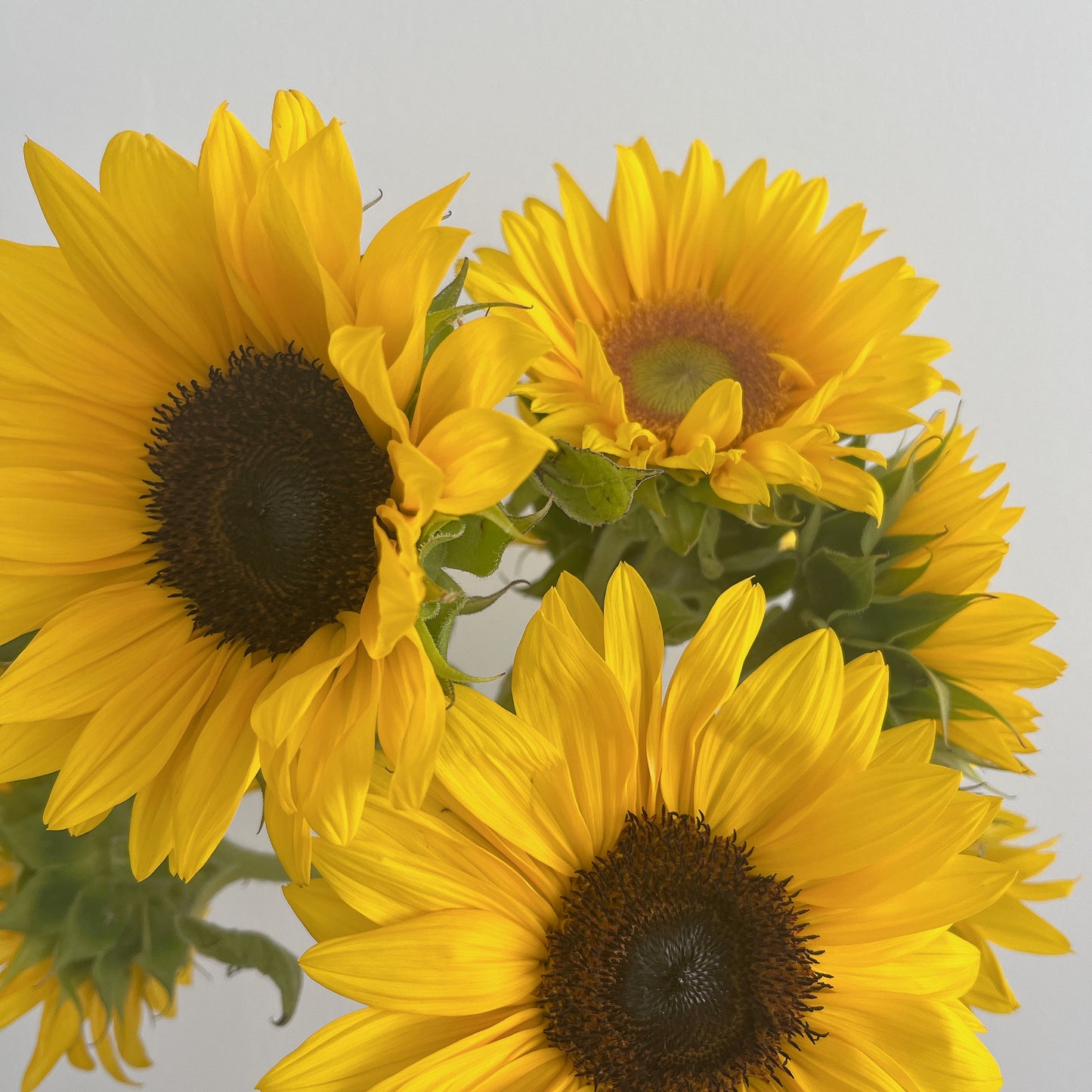 # Sunflower mixed bouquet